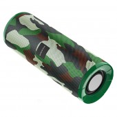 Портативная колонка BOROFONE BR1 Beyond sportive camouflage (зеленый)