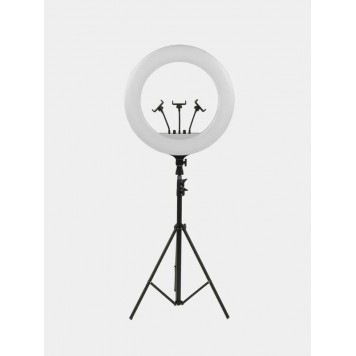 Кольцевая светодиодная Led Лампа 55см. RL-21, с пультом